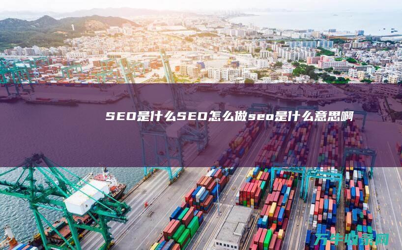 SEO是什么 SEO怎么做 (seo是什么意思啊)