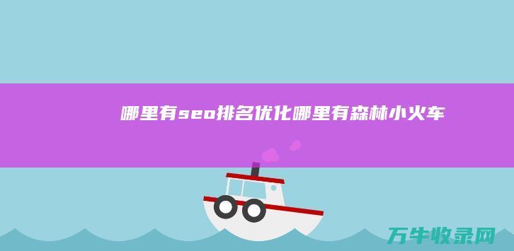 哪里有seo排名优化 (哪里有森林小火车)