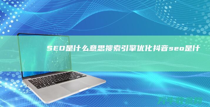 SEO 是什么意思 搜索引擎优化 (抖音seo是什么)