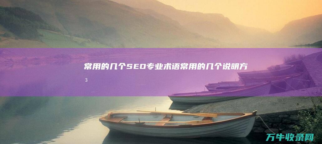 常用的几个SEO专业术语 (常用的几个说明方法)