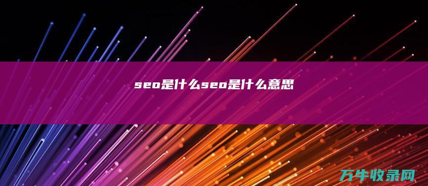 seo是什么 (seo是什么意思)