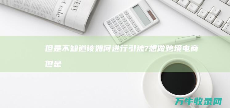 但是不知道该如何进行引流? 想做跨境电商 (但是不知道该怎么办)