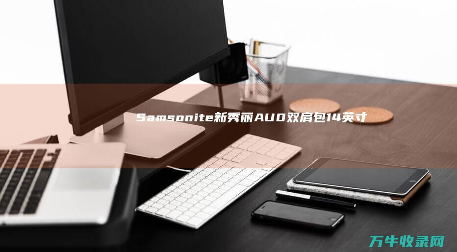 Samsonite新秀丽AU0双肩包14英寸海军蓝 (samson是什么牌子)