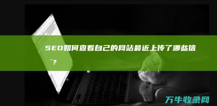 SEO如何查看自己的网站最近上传了哪些信息? (seo查询官网)