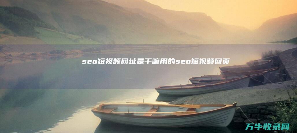 seo短视频网址是干嘛用的 (seo短视频网页入口引流网站)